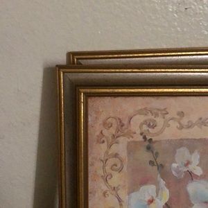 Meet your Posher, Marlene